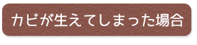 カビが生えてしまった場合 